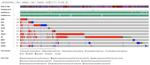 仁東醫療攜手海計系統 臨床科研助理軟件首發，一站式解決大數據難題